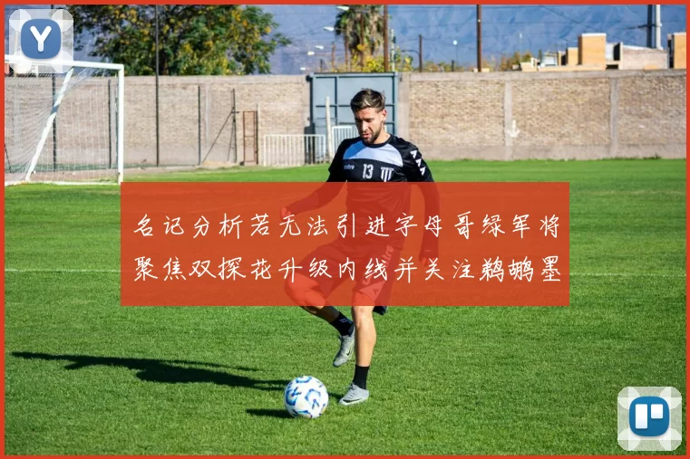 名记分析若无法引进字母哥绿军将聚焦双探花升级内线并关注鹈鹕墨菲